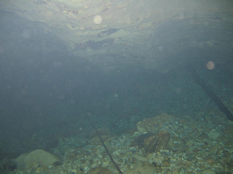 Bennett Springs 036.JPG - Another view of the ceiling.